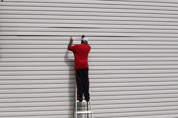 Best Vinyl Siding Installation  in Estes Park, CO