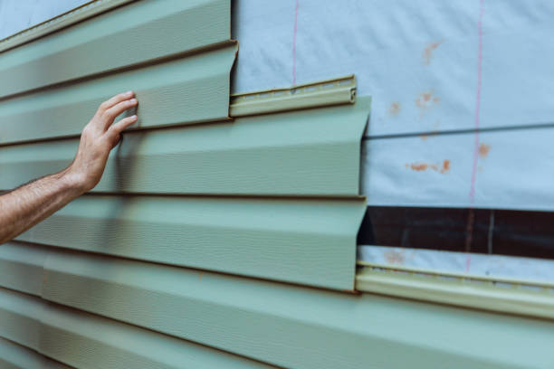 Best Siding Painting and Refinishing  in Estes Park, CO
